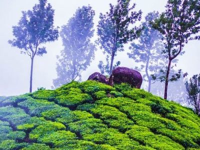 Visit Darjeeling