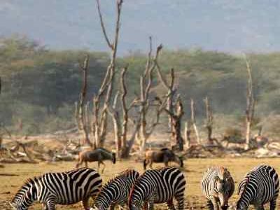 Best of Tanzania