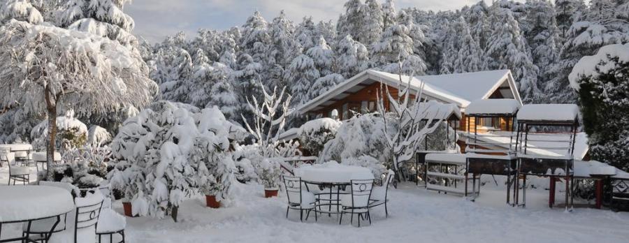 Top Honeymoon Staycations in North India