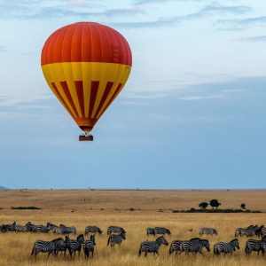 Wildlife