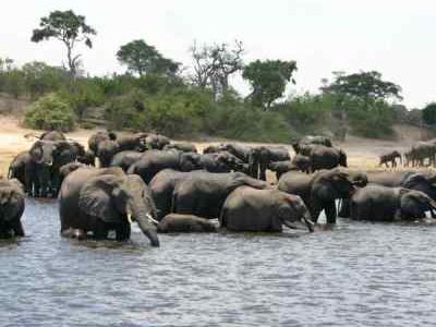 Highlights of Botswana