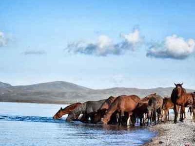 Silk Route and the Four Stans of Central Asia